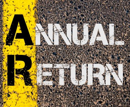 Annual Returns by noor siddiqui_etaxdial.com