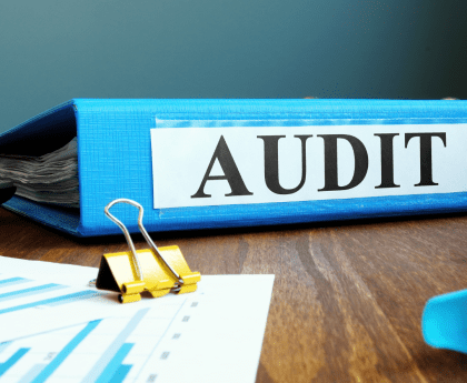 audit report format bu noor siddiqui_etaxdial.com